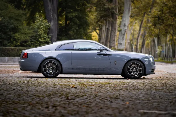 كازينو سايبر بينغو تطبيق أندرويد/آي أو إس